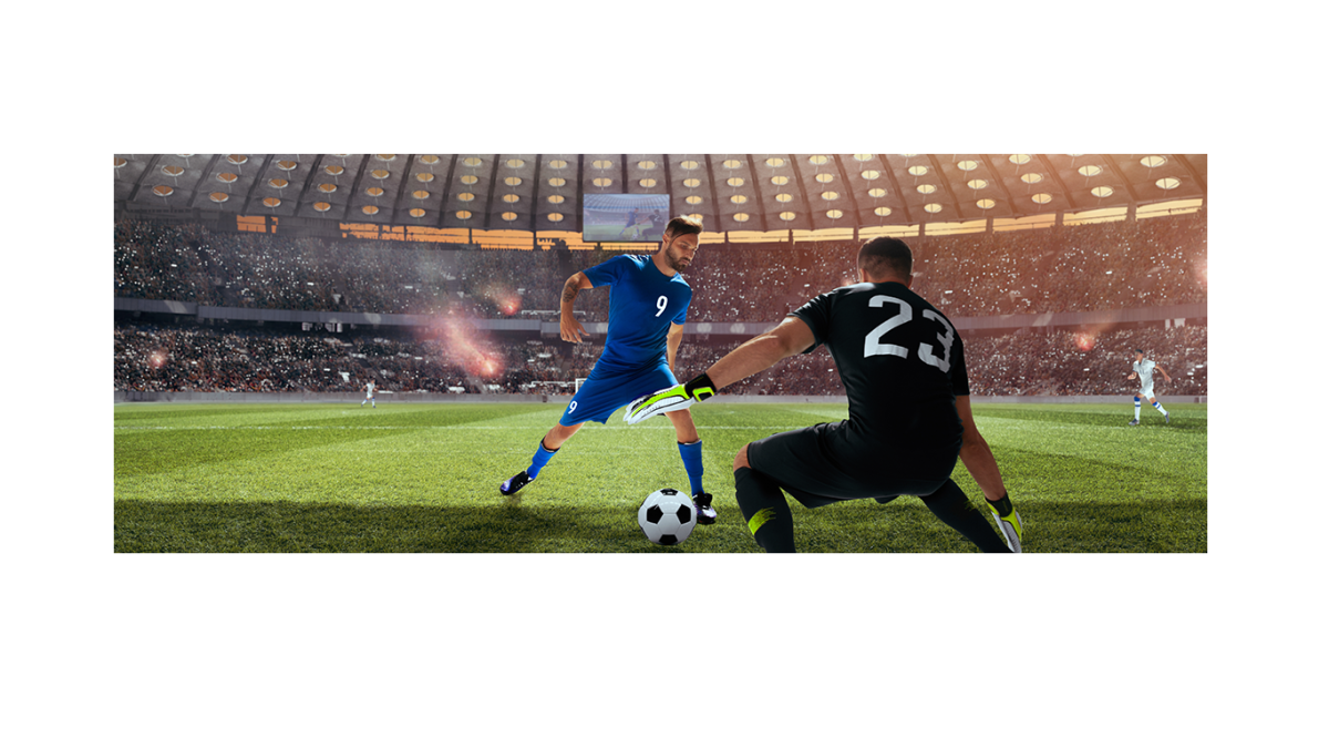 Banner Taglio Vivo 510 gr spalmato H.O